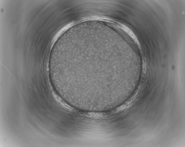 X0000085280954200704092203