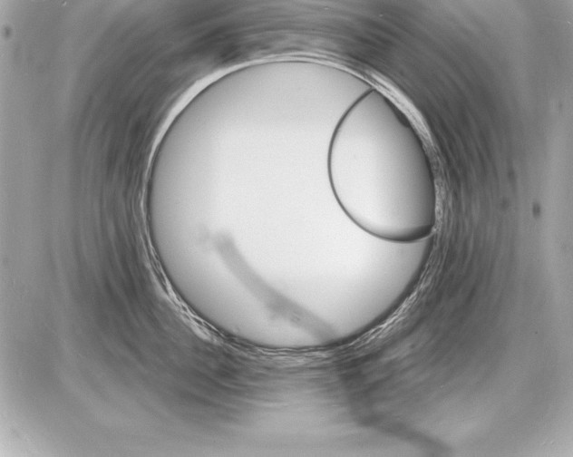 X0000085280956200704092203