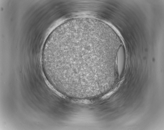 X0000085280957200704092203