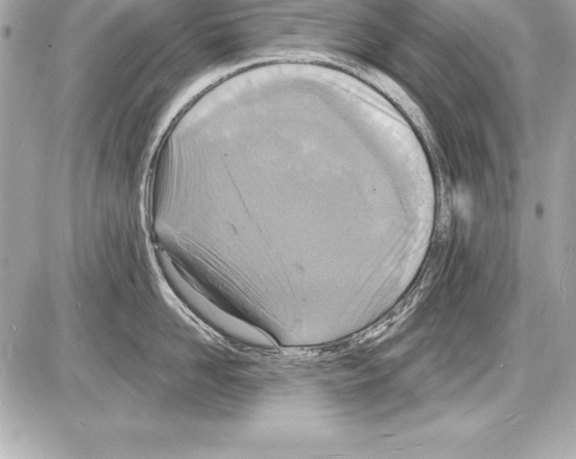 X0000085280958200704092203