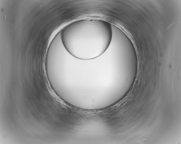 X0000085280960200704092203