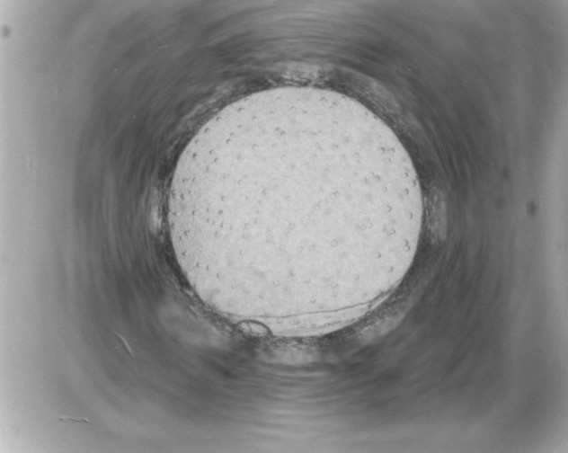 X0000085280962200704092202