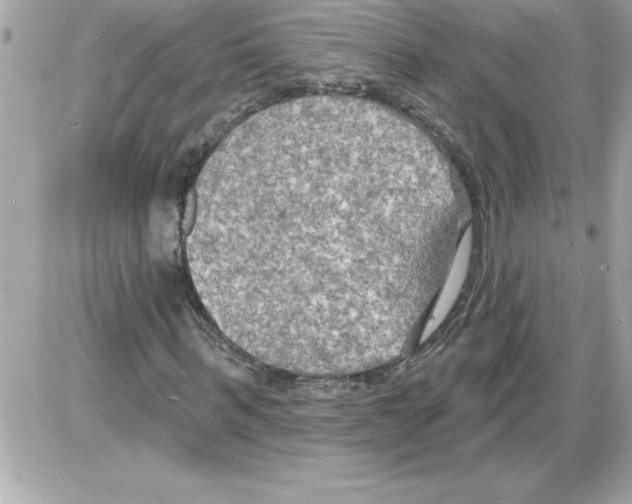 X0000085280963200704092202