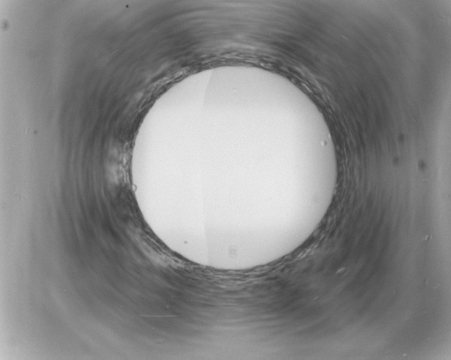 X0000085280964200704092202