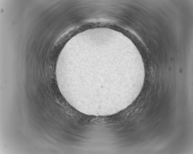 X0000085280967200704092202