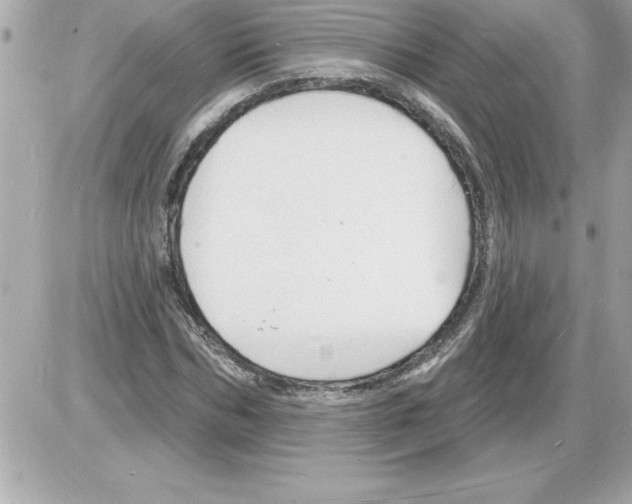 X0000085280970200704092202