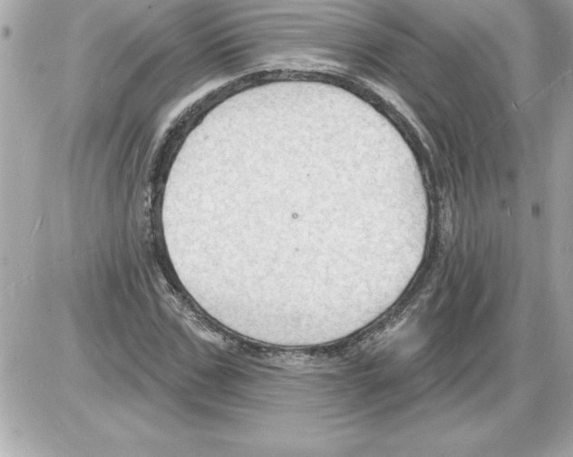 X0000085280971200704092202