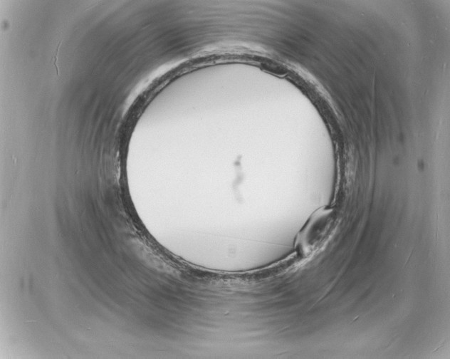 X0000085280973200704092202