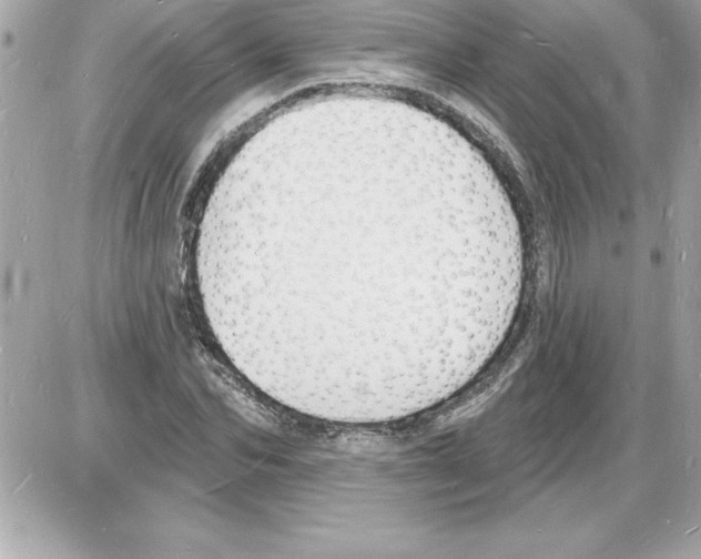 X0000085280974200704092202