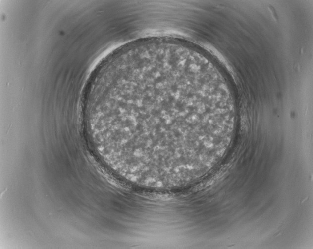 X0000085280975200704092202