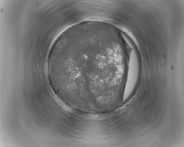 X0000085280976200704092202