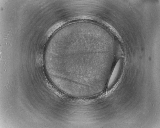 X0000085280977200704092202