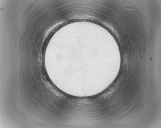 X0000085280979200704092202