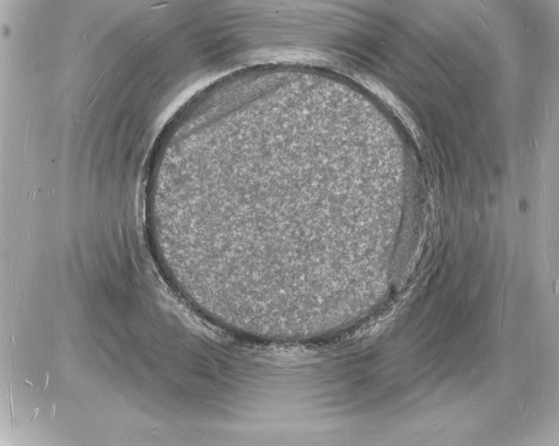 X0000085280983200704092202