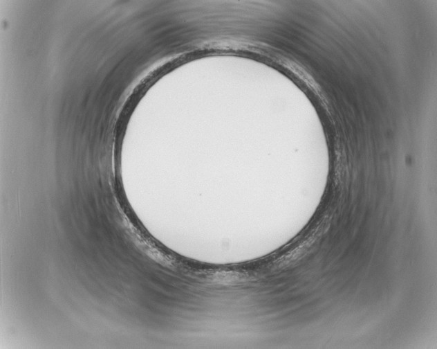 X0000085280984200704092202