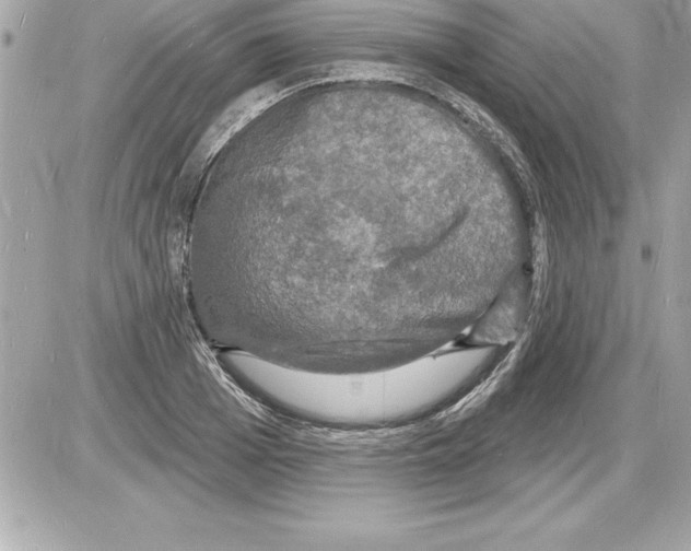 X0000085280985200704092202