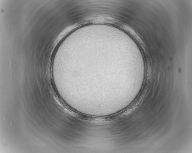 X0000085280986200704092202