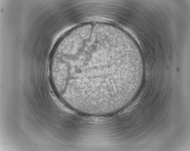 X0000085280987200704092202