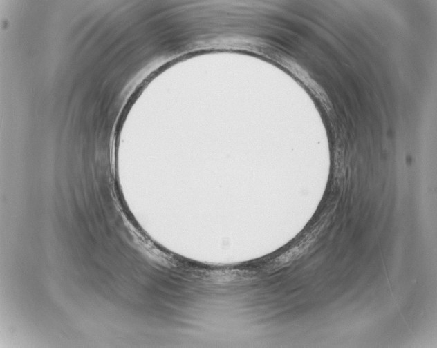 X0000085280988200704092202