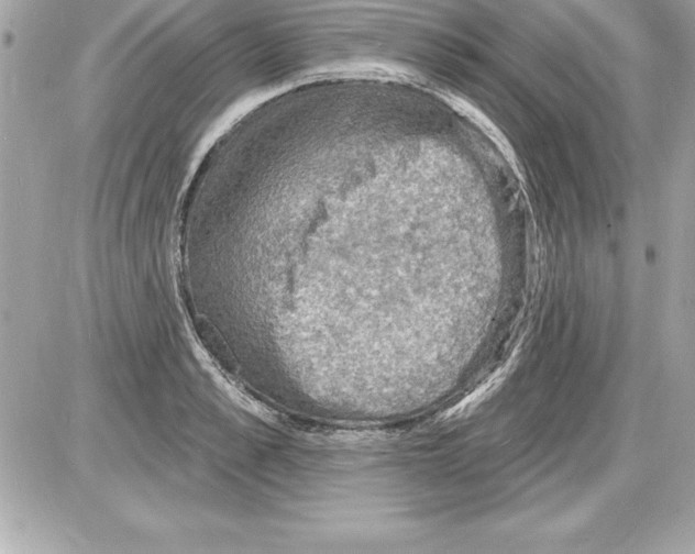 X0000085280989200704092202