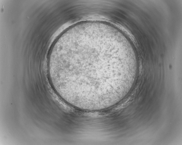 X0000085280990200704092202