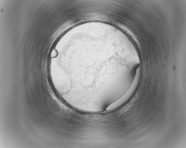 X0000085280991200704092202