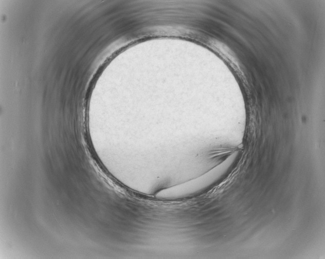 X0000085280992200704092202