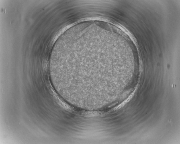 X0000085280993200704092202