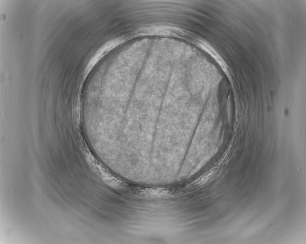 X0000085280994200704092201