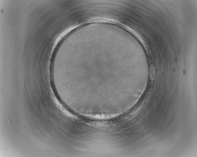 X0000085280995200704092201