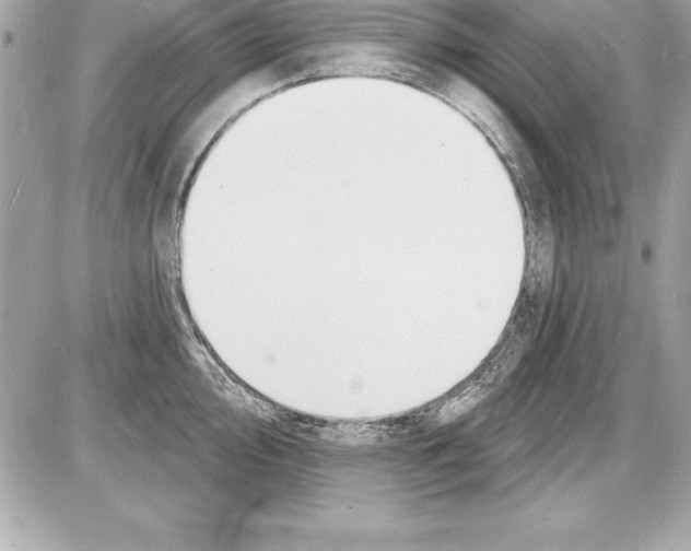 X0000085281000200704092201