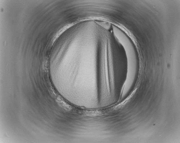 X0000085281001200704092201