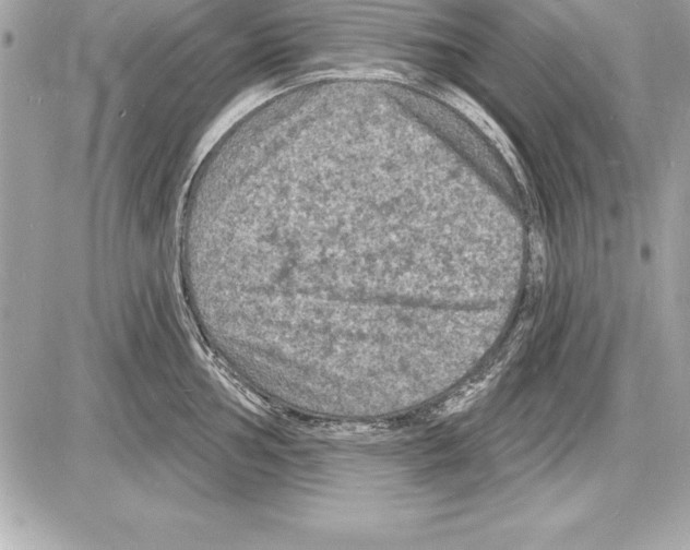 X0000085281002200704092201