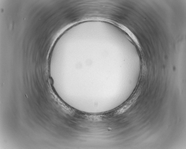 X0000085281004200704092201