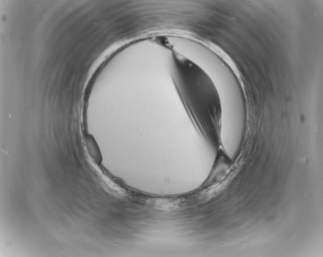 X0000085281005200704092201