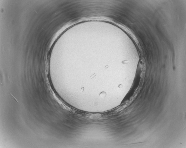 X0000085281006200704092201