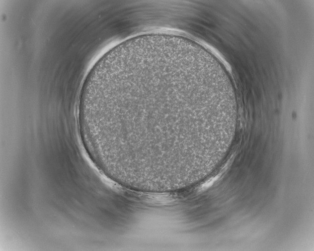 X0000085281007200704092201