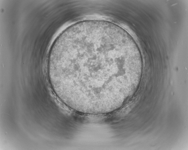 X0000085281008200704092201