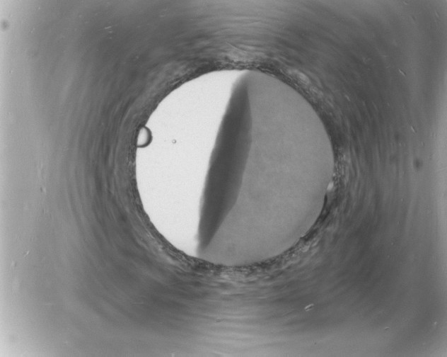 X0000085281009200704092200