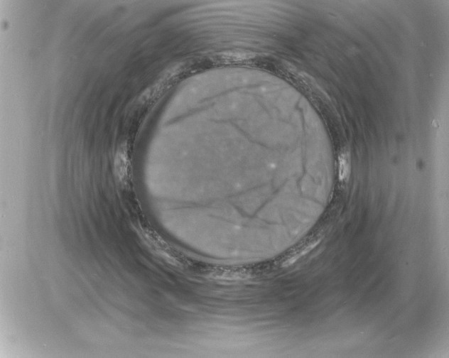 X0000085281011200704092200