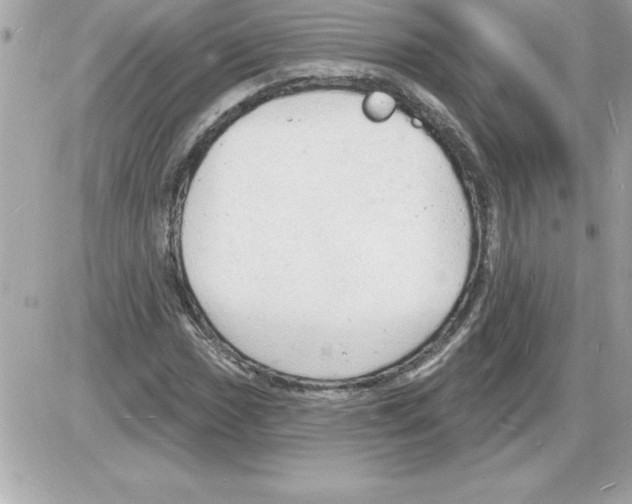 X0000085281017200704092200