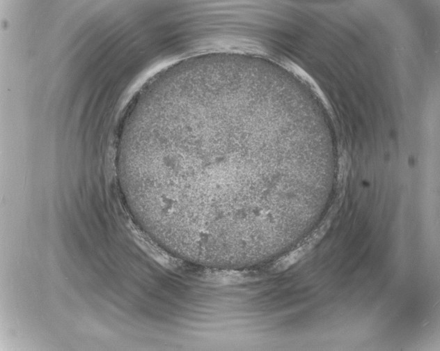 X0000085281019200704092201