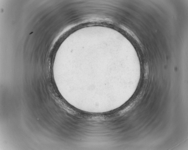 X0000085281021200704092201