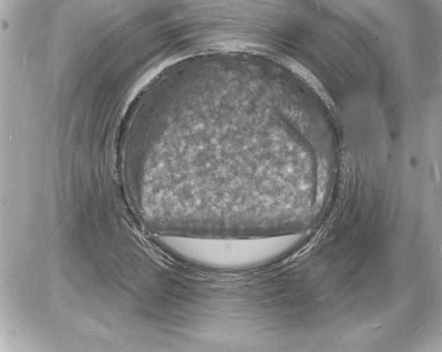 X0000085281023200704092201