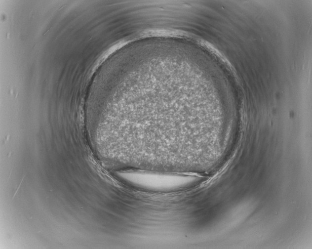 X0000085281025200704092201