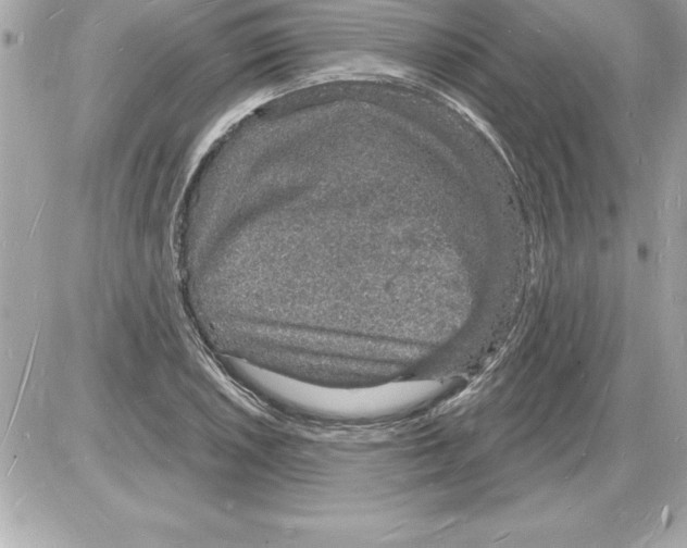 X0000085281026200704092201