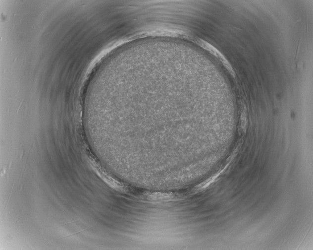 X0000085281027200704092201