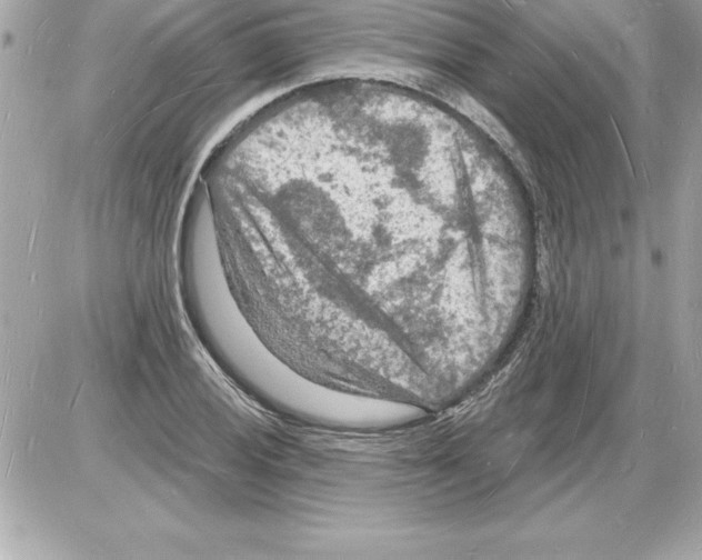 X0000085281028200704092201