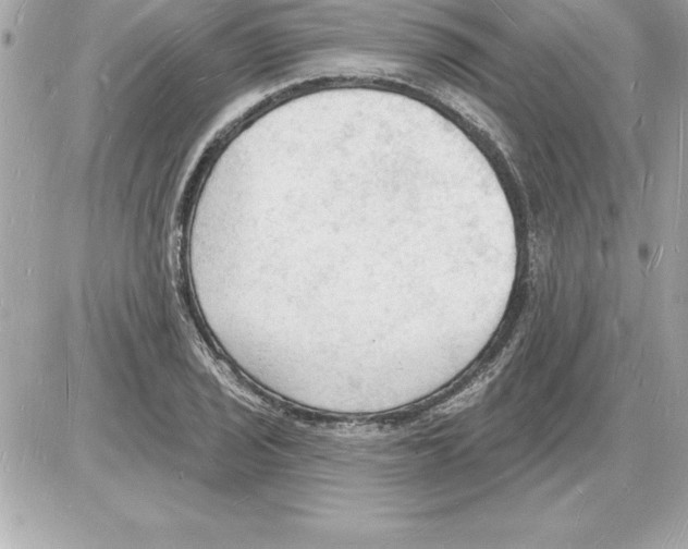 X0000085281029200704092201