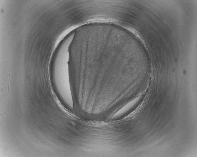 X0000085281030200704092201